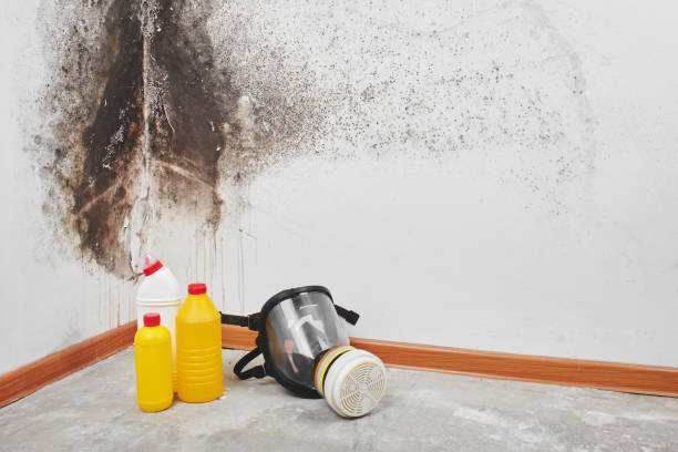 Best Residential Mold Removal  in Manawa, WI