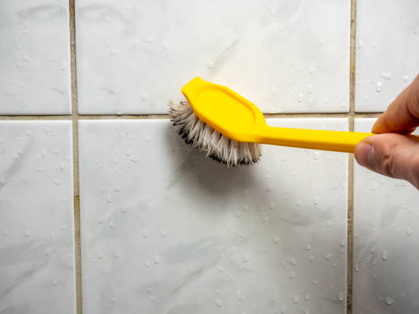 Best Attic Mold Removal  in Manawa, WI