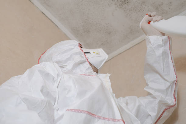 Mold Testing and Removal in Manawa, WI