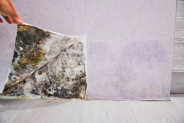 Water Damage Restoration in Manawa, WI